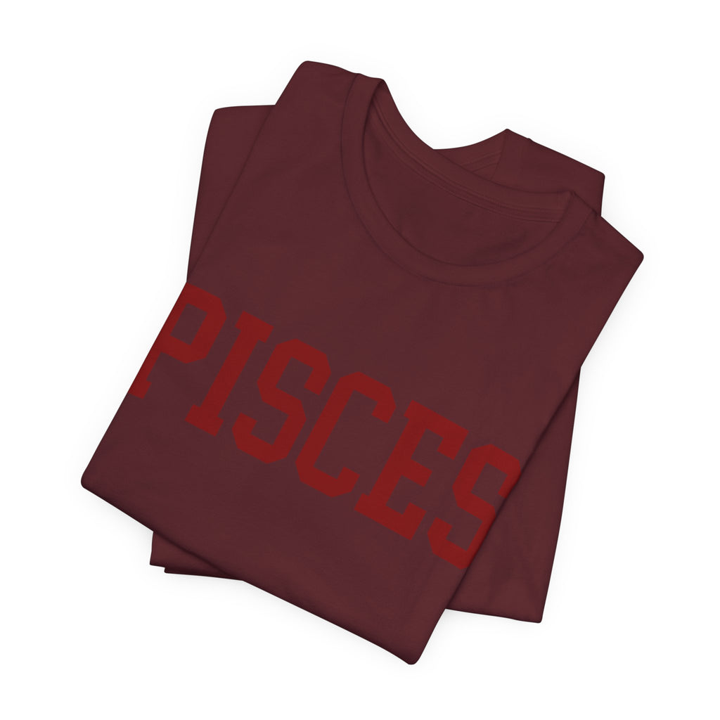 Pisces Zodiac T-Shirt — Koi Fish Back Graphic Astrology Tee