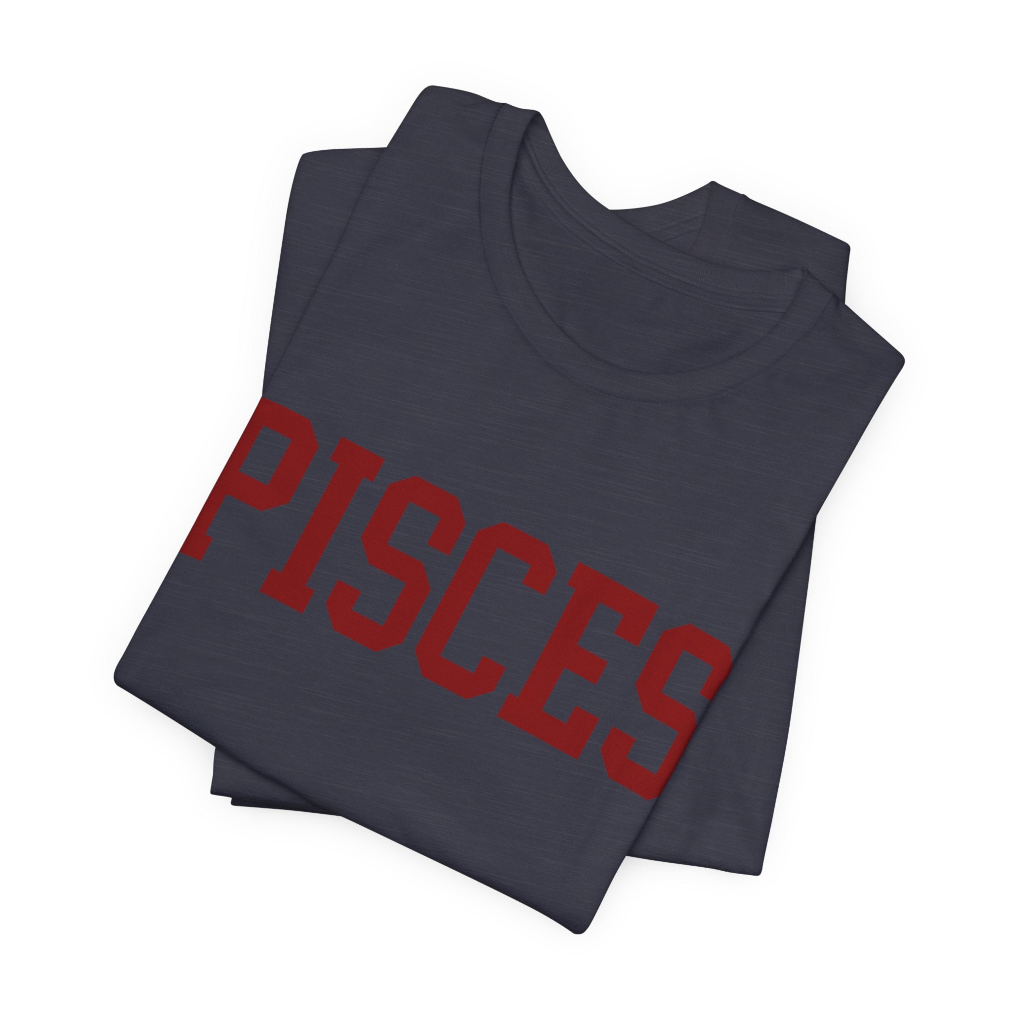 Pisces Zodiac T-Shirt — Koi Fish Back Graphic Astrology Tee