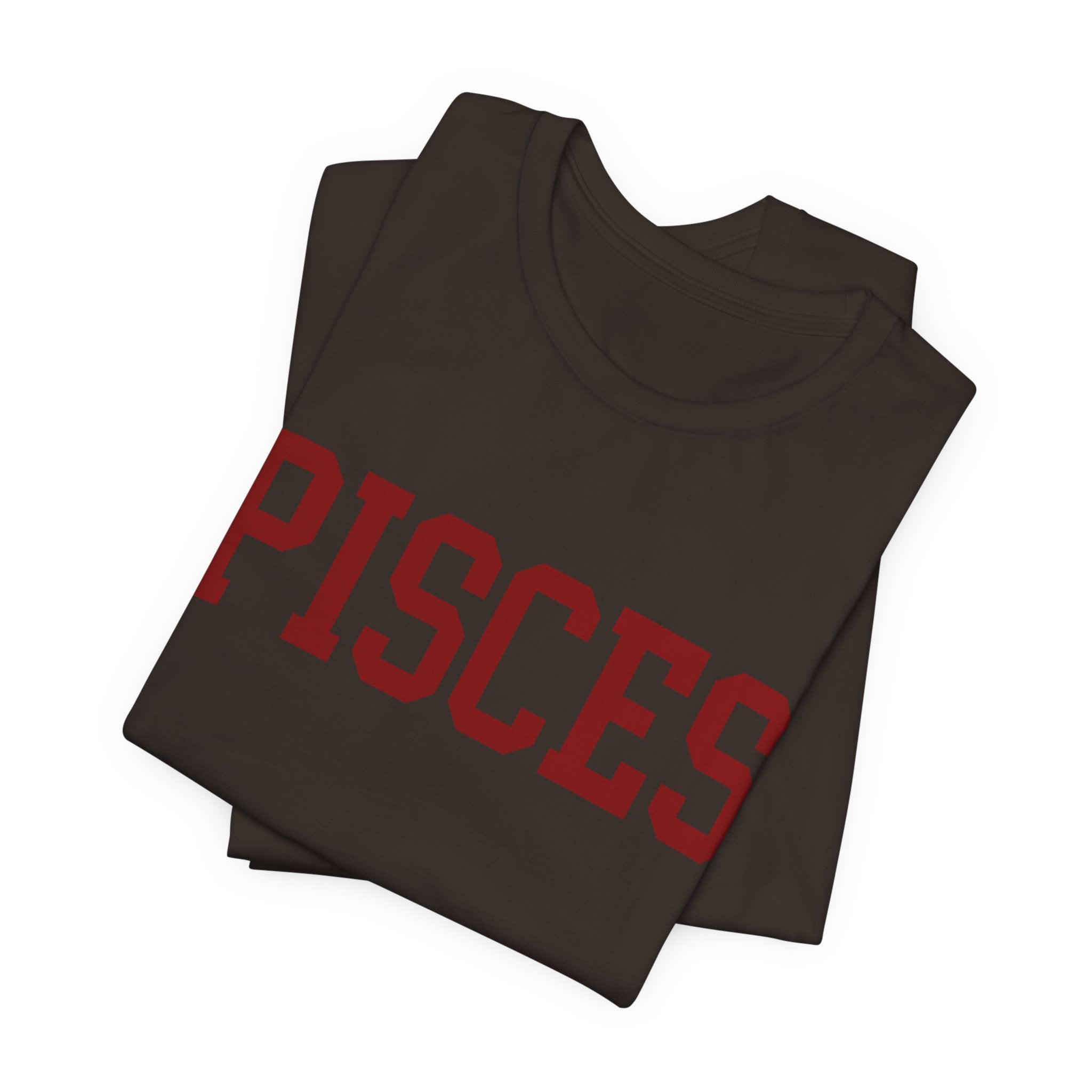 Pisces Zodiac T-Shirt — Koi Fish Back Graphic Astrology Tee
