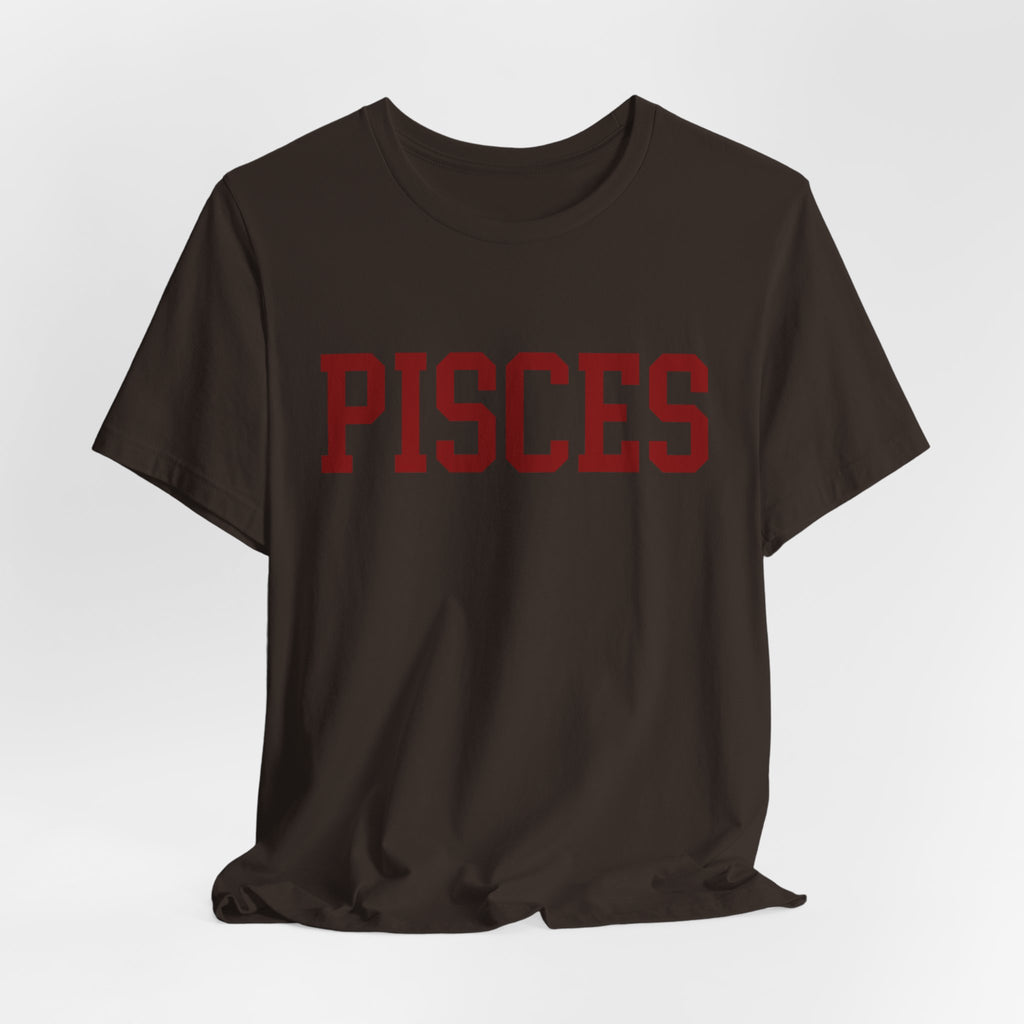 Pisces Zodiac T-Shirt — Koi Fish Back Graphic Astrology Tee