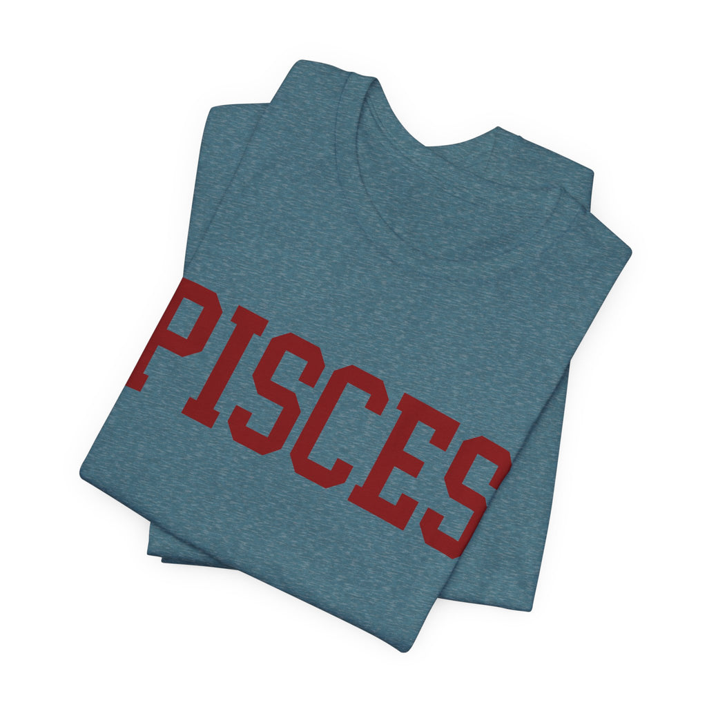 Pisces Zodiac T-Shirt — Koi Fish Back Graphic Astrology Tee